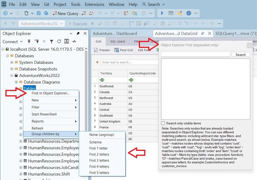 Data and Object Explorer Features